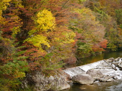 784A7048-51D0-44E5-B216-05FF5733926F