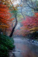 紅葉の渓