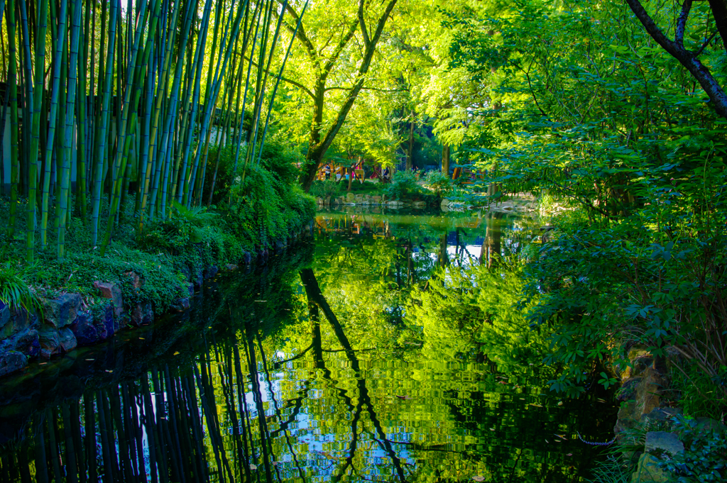 朝光景