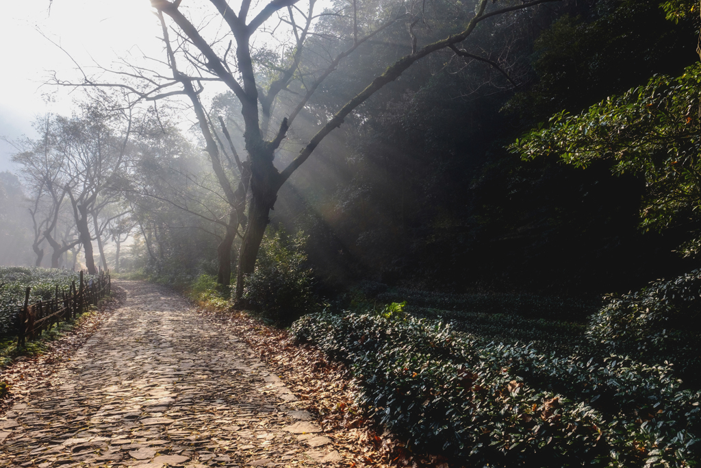 朝山路