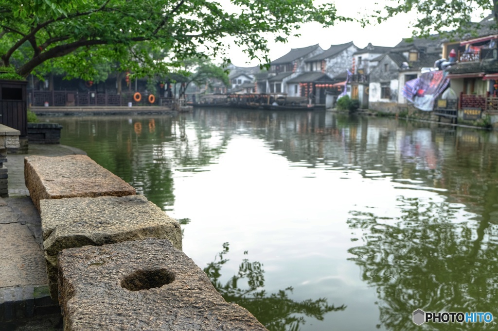 水郷朝の水面