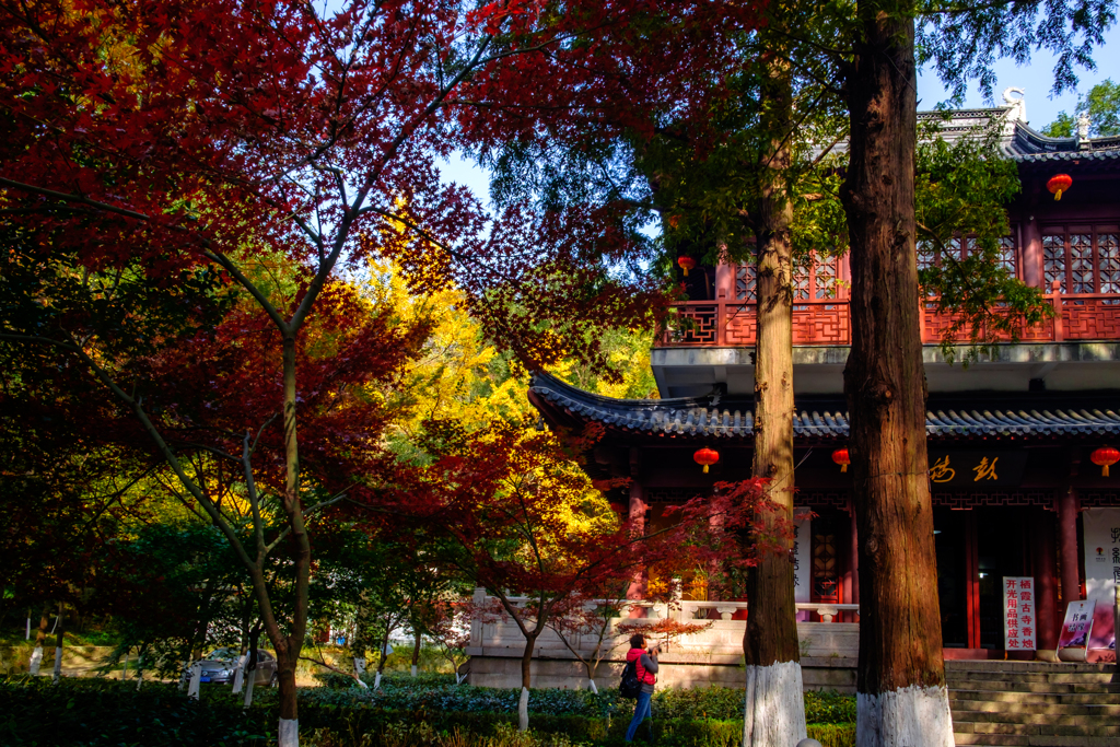 栖霞寺＃2