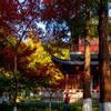 栖霞寺＃2
