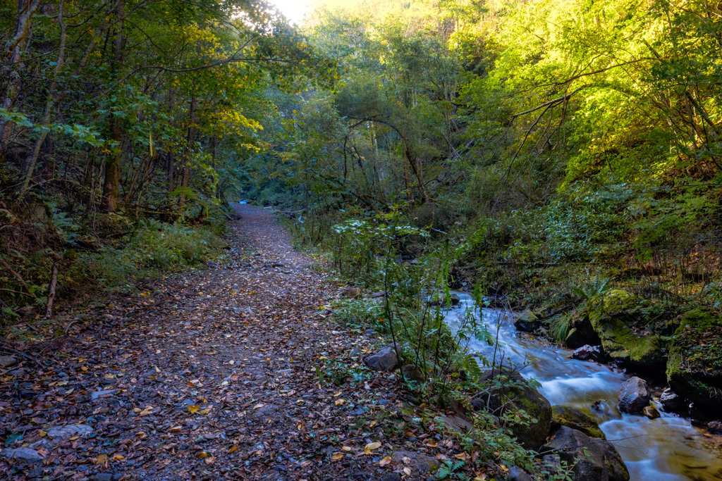 山路