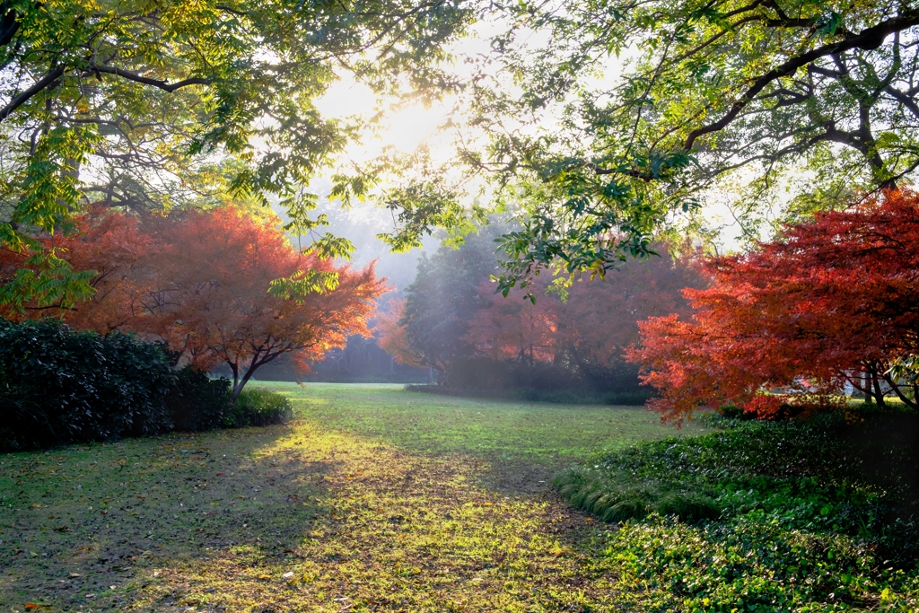 午後の公園