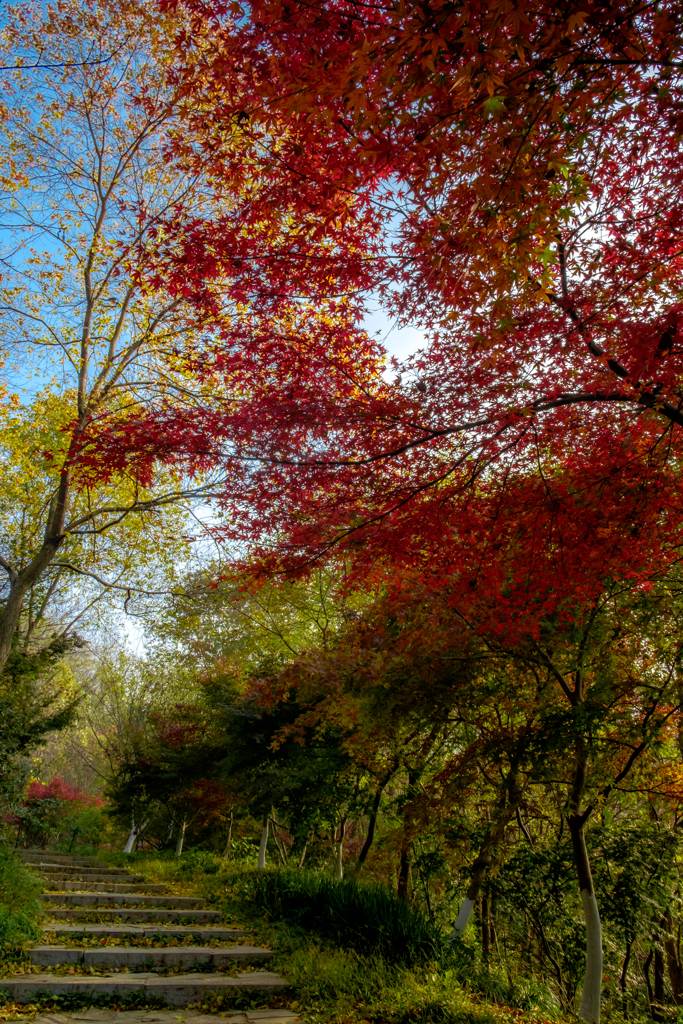 栖霞山道