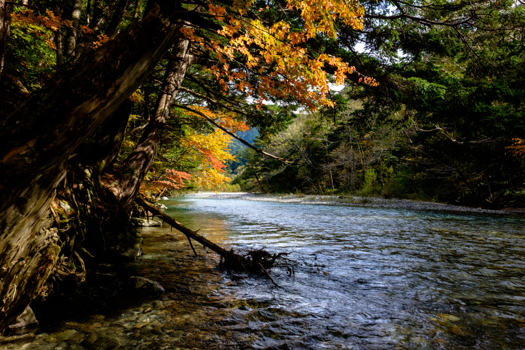 上高地の川