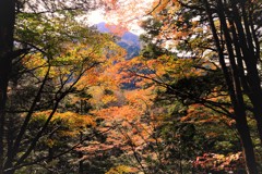 上高地の紅葉