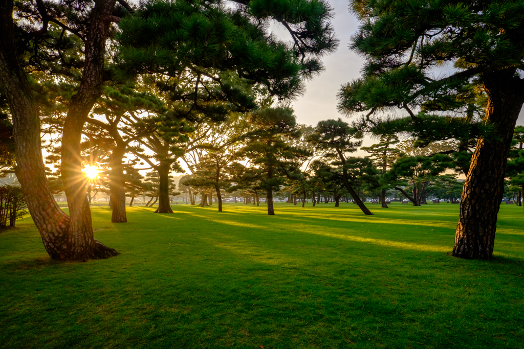 東京Sunset