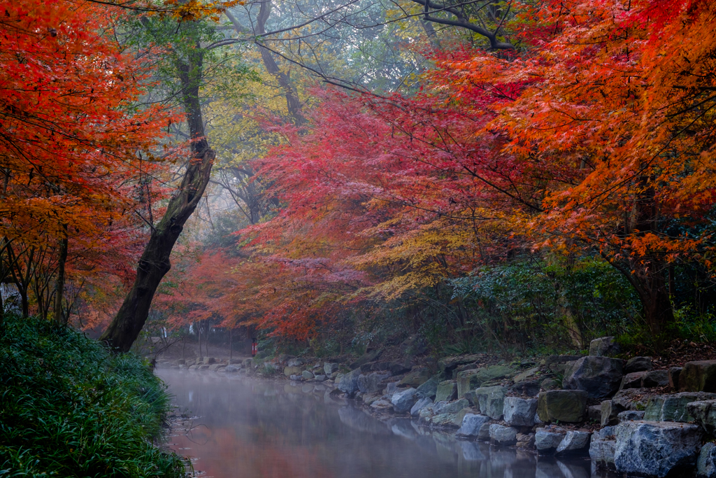 朝光景