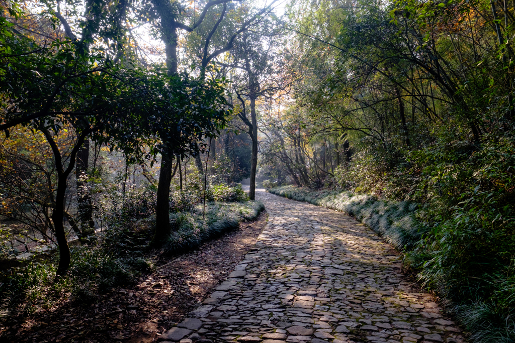 朝山路