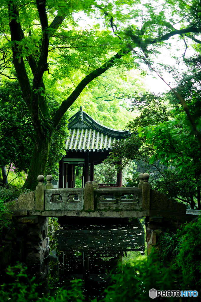 古猗園風景5