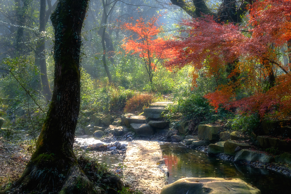 山路景色