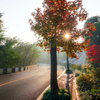 朝山路＃2