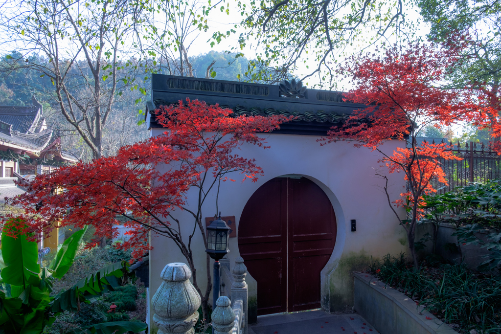 寺院の裏門