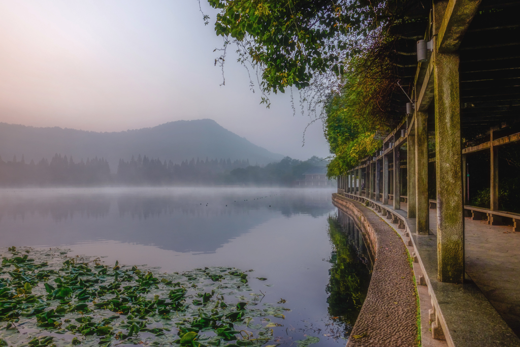 西湖の朝