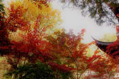 栖霞寺の紅葉