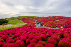 花山