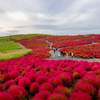 花山