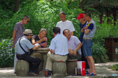 夏の公園に