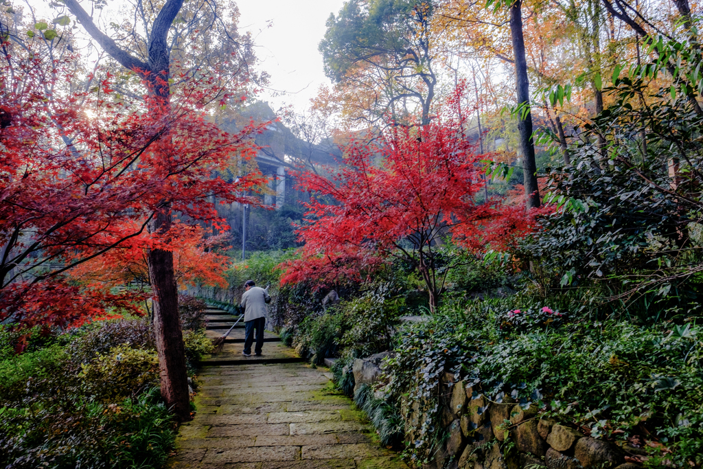 朝の掃除人