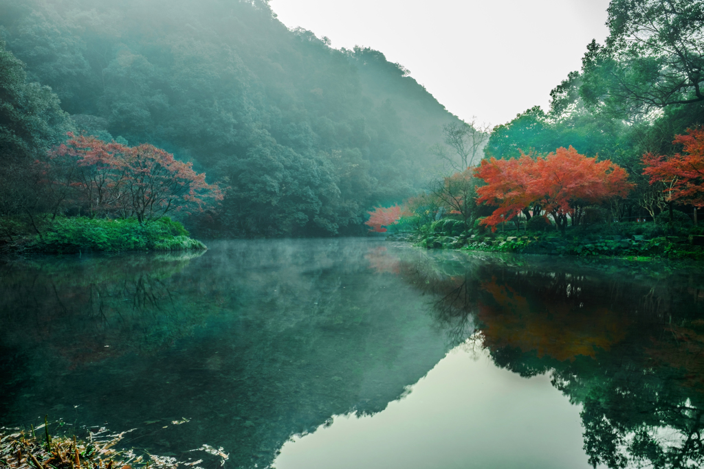 静かな池