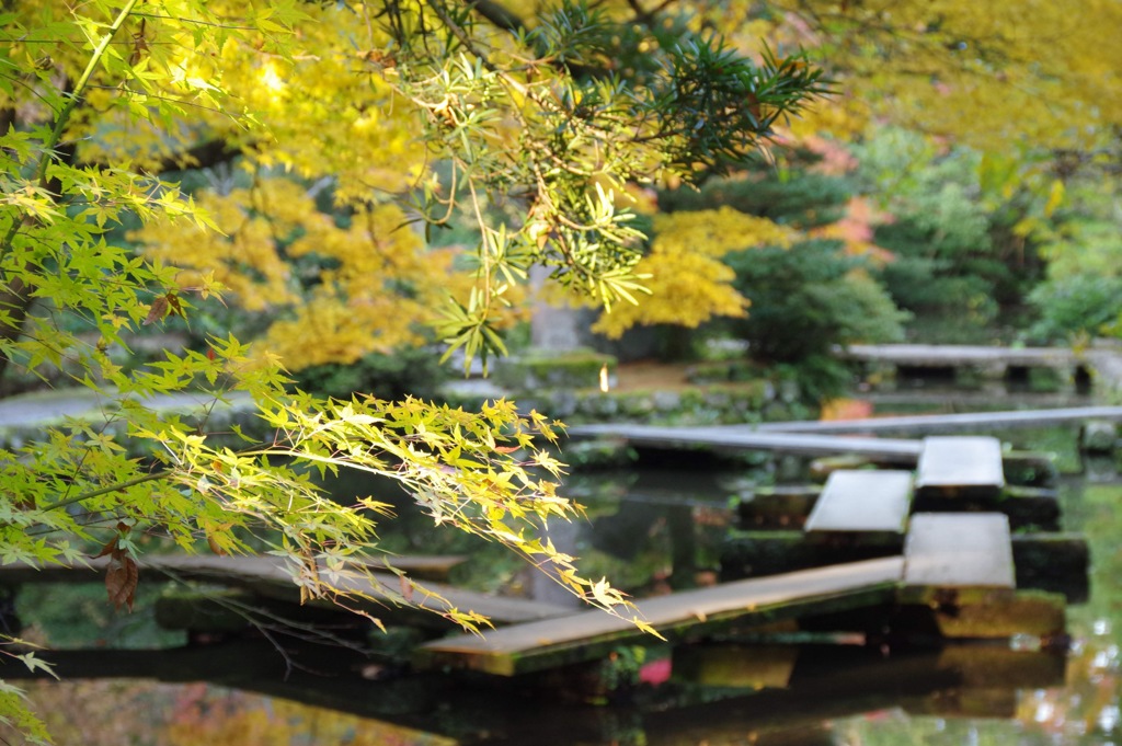 尾山神社の秋