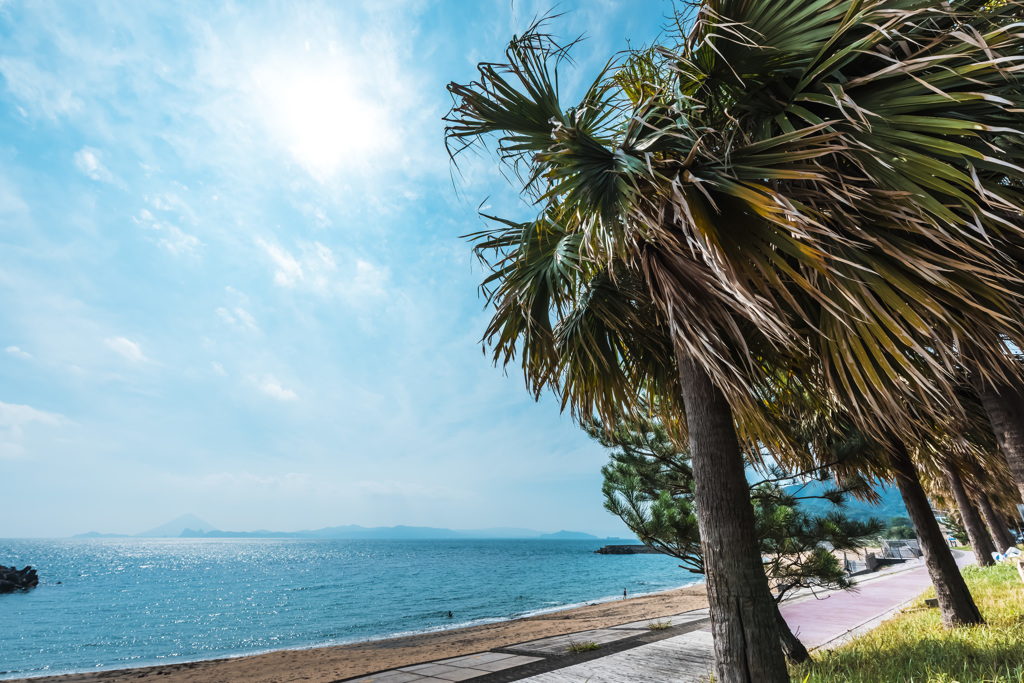 大浜