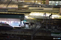 東京駅(新幹線ホーム)