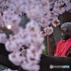 お地蔵さんのお花見