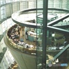 cafe巡り
