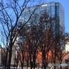 初冬の昼下がり 1