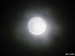 皐月の満月2