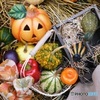 Happy Halloween 2016  1