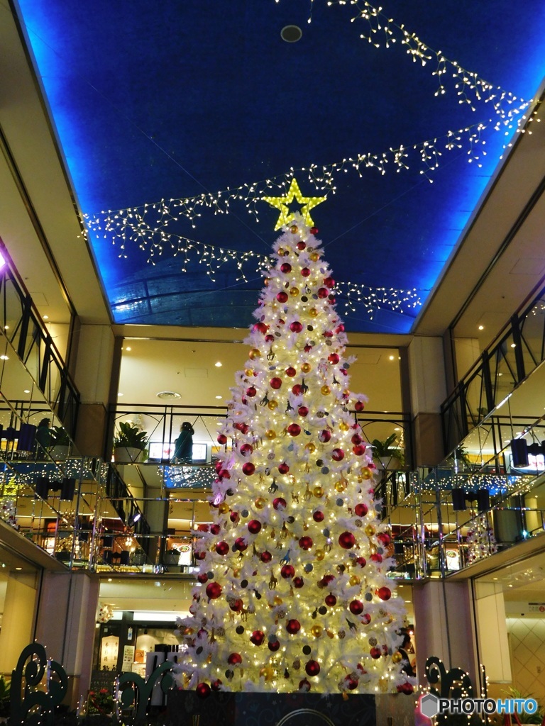 クリスマスツリー 2016-1