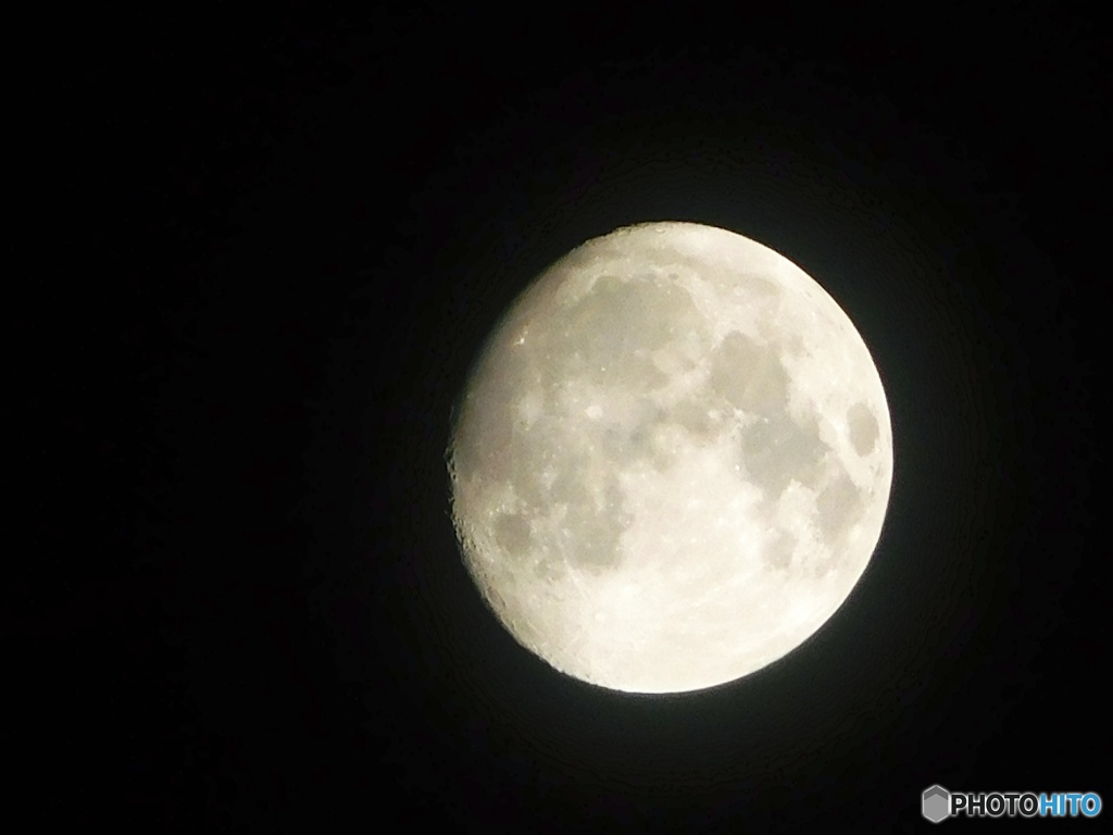 2024年神無月の十三夜 (栗名月)