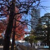 初冬の昼下がり 2