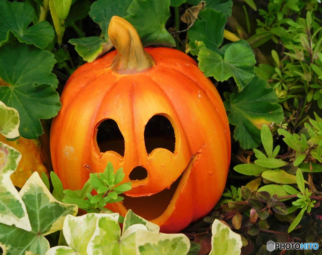 Happy Halloween 2016  6 