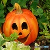 Happy Halloween 2016  6 