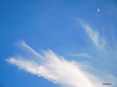 梅雨の晴れ間の夕暮れ時