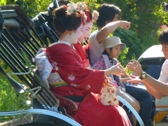 2013 Kyoto 2