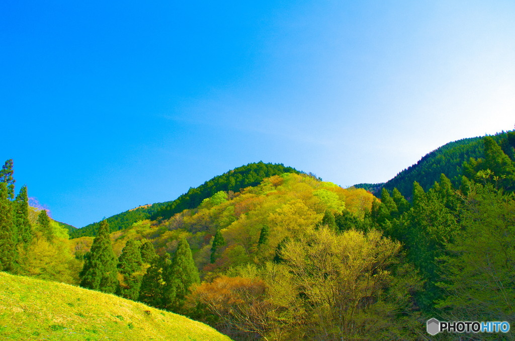 いい天気