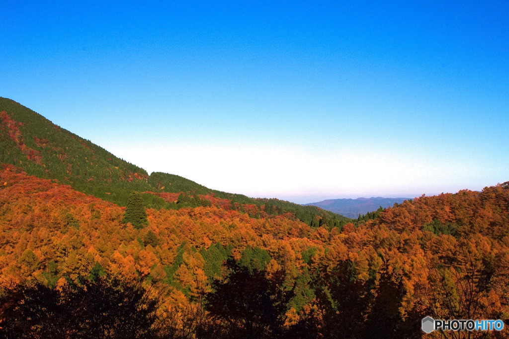 紅山