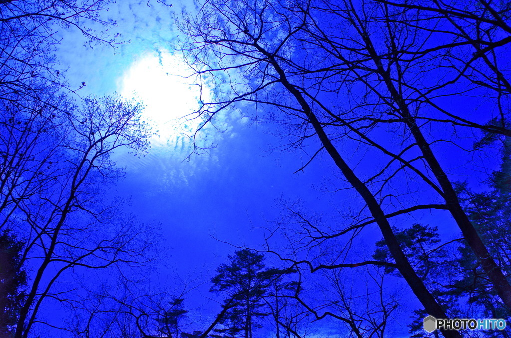 BLUE　SKY