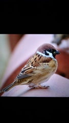 IMG_20150301_160551