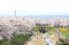 千本桜