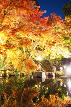 長谷寺