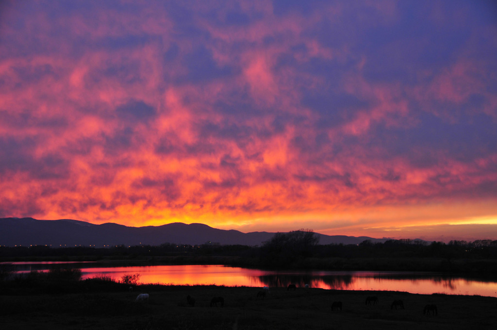 秋の石狩夕景