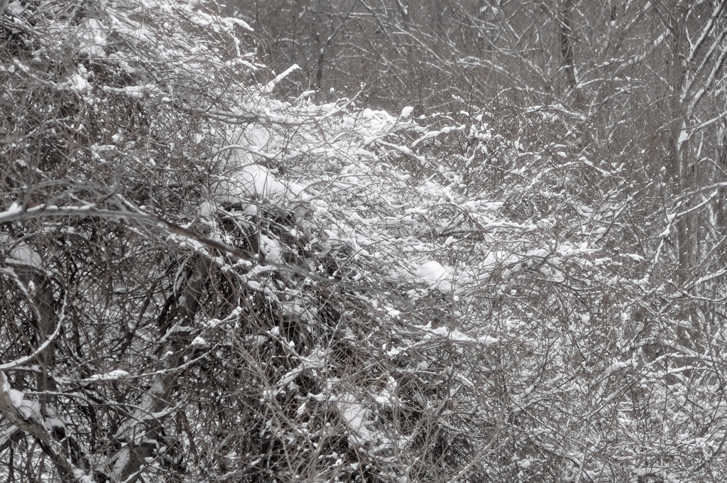 雪の滝しぶき