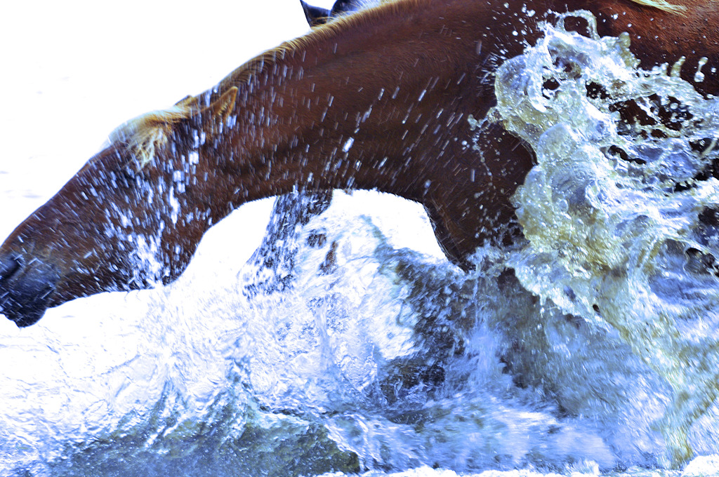 馬の行水